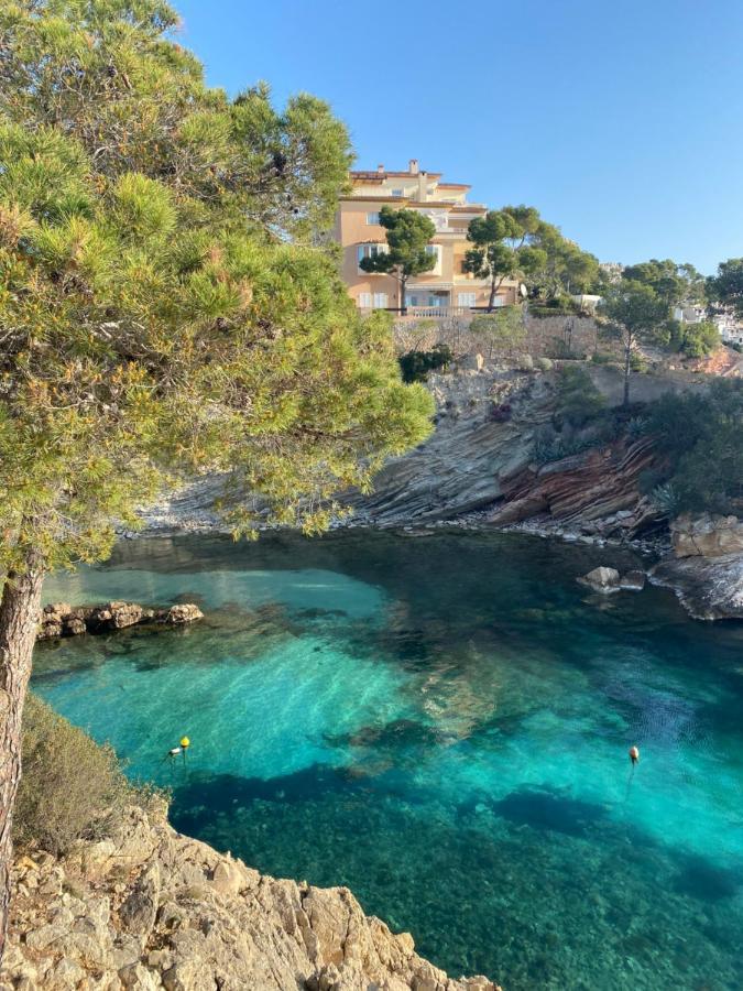 Hostal Villa Senese Peguera Eksteriør bilde